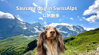 しめ散歩【山】グリンデルワルト　前編