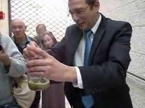 The Making of the Tchelet - Part 1 of 2