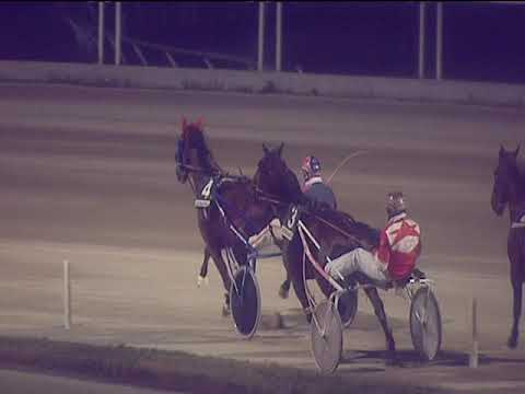 Trotto 11/01/2019 - 5ª corsa