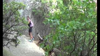 preview picture of video 'Old Rag Mountain Hike   June 2013'