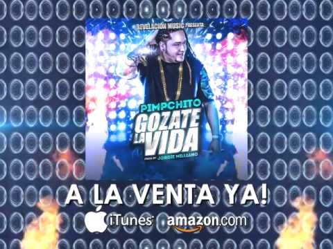 Pimpchito-Gozate la vida preview