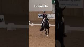 Download lagu Best of the best; Charlotte and Carl Hester’s Uthopia in 2014 #dressage #holidayswithshorts mp3