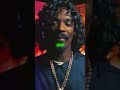 Snoop Dogg On Eminem Without Me