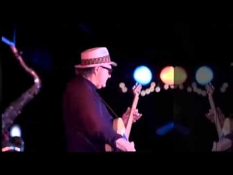Upper Mississippi Shakedown - The Lamont Cranston Blues Band