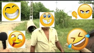 faze tari intrebari simple