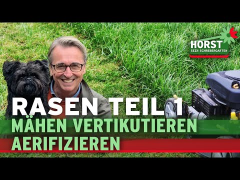Rasenpflege im Frühjahr - die ersten 3 Schritte zum satten Grün | Horst sein Schrebergarten