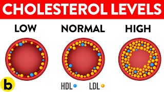 Understanding Cholesterol Levels | LDL (Bad) vs HDL (Good) Cholesterol