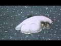 "Walking In The Air (Theme from The Snowman ...