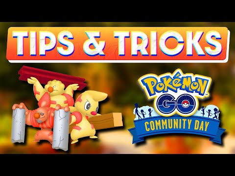 TIMBURR COMMUNITY DAY TIPS & TRICKS | POKÉMON GO