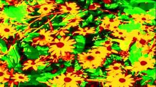 J Dilla - Airworks (Maqman Retouch Edit)