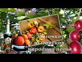 Яблочко цыганская народная песня 