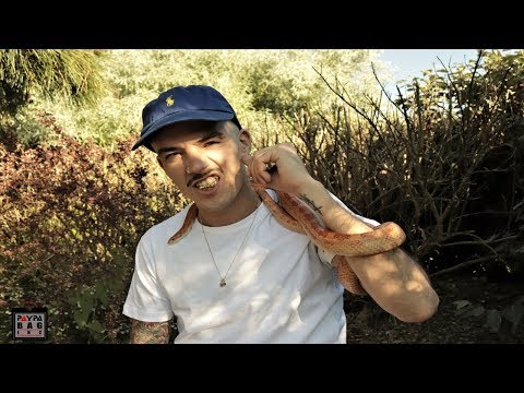 ONE SHOOT VIDEO - FANTASMA X VIZZY VIZZ - BBQ FREESTYLE