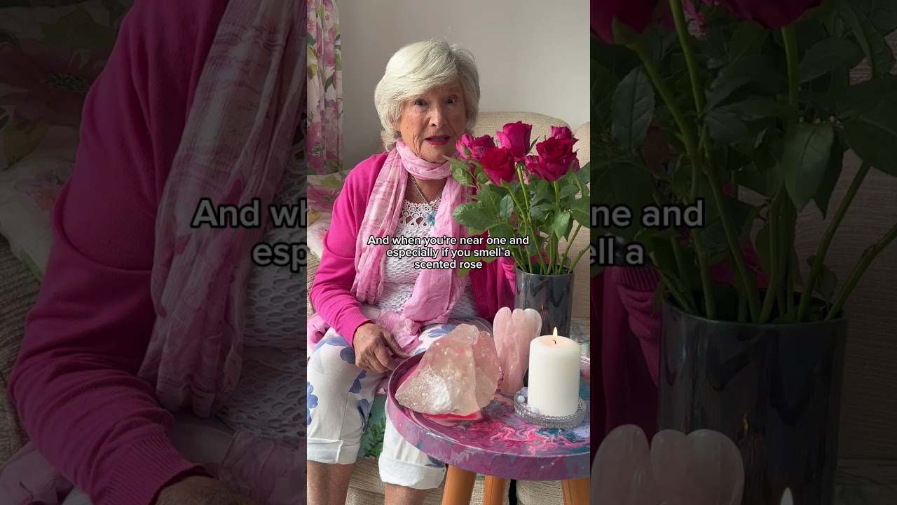 High Frequency Roses High Frequency Roses