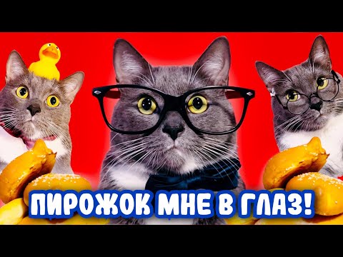 ЕСЛИ БЫ КОТИКИ ХОДИЛИ В ШКОЛУ - ДЕНЬ ЗАРПЛАТЫ