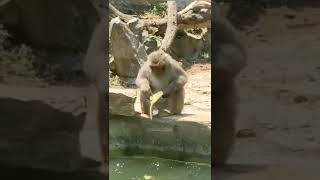 [問卦] 沒人發現香蕉根本就是黑科技水果嗎！