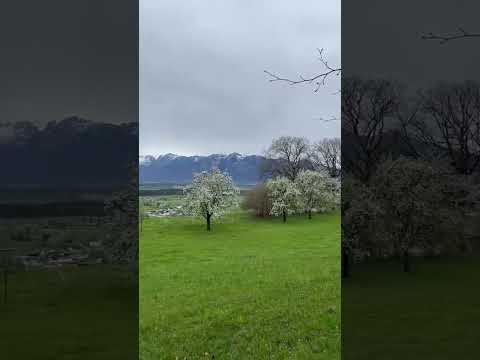 ヴァレー アルプス - 定義