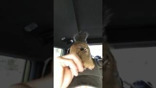 Junior is 5 years-old still a love bug