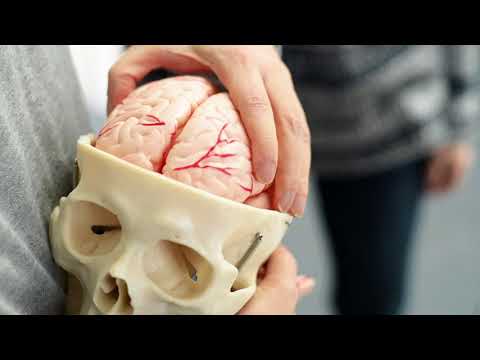 Video-Thumbnail von YouTube