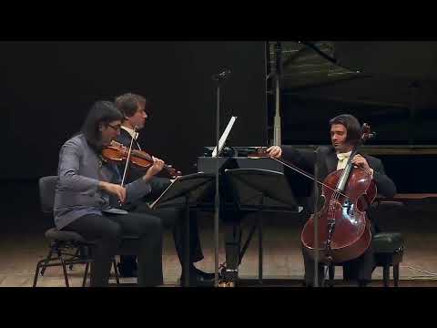 IV. Finale. Allegro (Lugansky . Capuçon . Kavakos - Brahms Piano Trio No. 1)