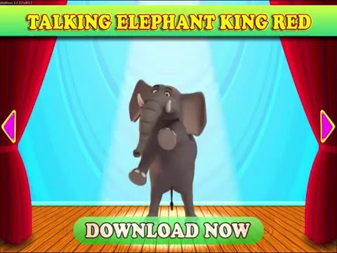 Talking Elephant King Red Video