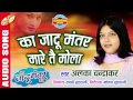 का जादू मंतर मारे तै मोला Singer Alka Chandrakar Audio Song 