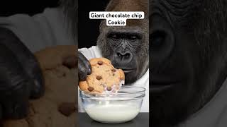 Download lagu Gorilla eats giant chocolate chip cookie #pastries #gorilla #hellokitty #mukbang mp3 Download lagu Gorilla eats giant chocolate chip cookie #pastries #gorilla #hellokitty #mukbang mp3