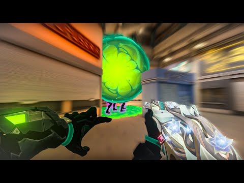 When you know every Viper setup...