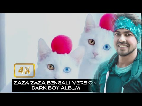 ZAZA  ZAZA bengali version|| dark💌🌳🚭 boy Cover album || Nilima   #liker  #likealways #instatravel