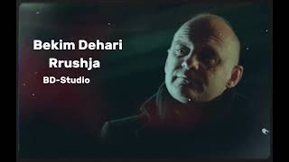 Bekim Dehari - Rrushja
