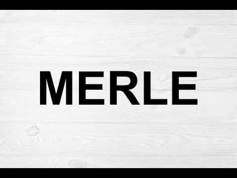 How To Pronounce Merle