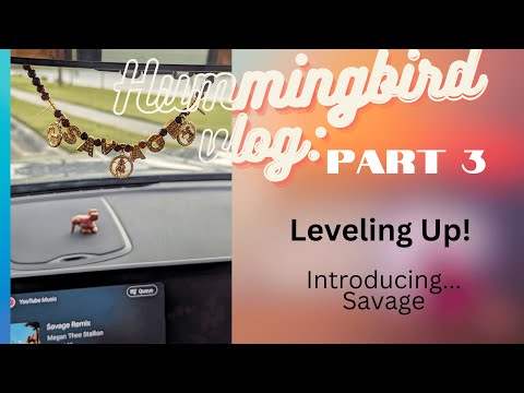 Leveling Up Part 3 | Introducing BMW Savage X3