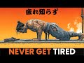 How To Stop Feeling Tired All The Time (Musashi’s Energy Method)