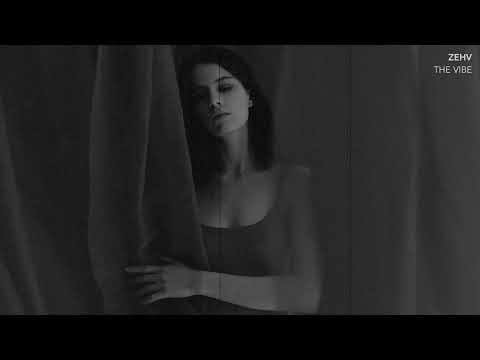 ZEHV - THE VIBE