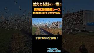 第63回 東日本チャンピオンレース　放鳩
