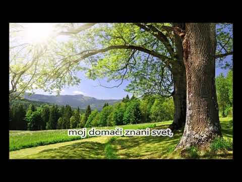 Ansambel Razplet - Res čutim te še