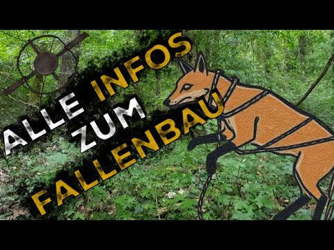 Der Fallenbau - Bushcraft - So fängst du dein Essen