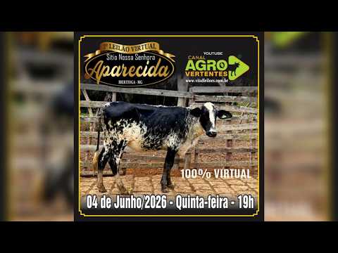 2º LEILÃO VIRTUAL SÍTIO NOSSA SENHORA APARECIDA - JEZINHO & FAMÍLIA - IBERTIOGA/MG - 04/06/2026
