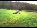 Cato Rolling