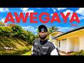 AWEGAYA VLOG 2026 ලංකාවට මේ අවුරුද්දේ බැහැපු පලව