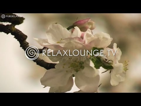 Erdenklang - Jens Fischer 'Metavista' Album