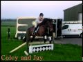 Schooling With Our New Jumps May 2010