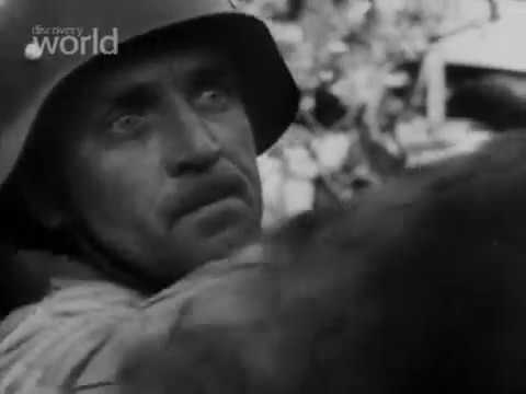 Pola Bitew - Monte Cassino cz.2_Lektor PL