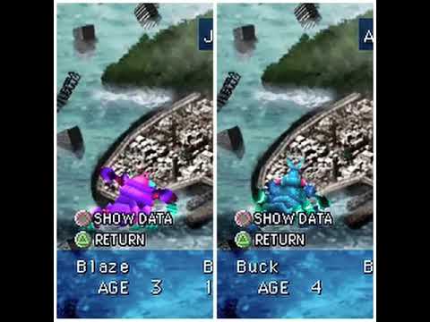 DRAGON SEEDS: Beetle Evolution and Comparison🕷🐜🐞#dragonseedsps1