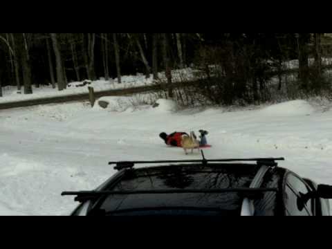 Ciro Doesn't Like Sledding...