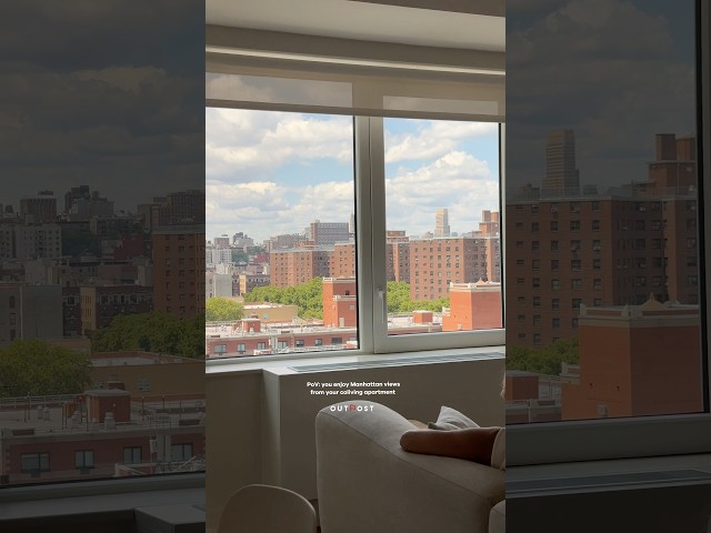 Preview image: Video 2
