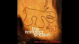 The Reindeer Section - You Are My Joy