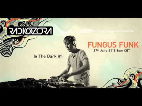 In The Dark #1 with FUNGUS FUNK on radiOzora - 2013