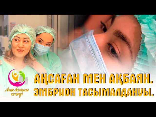 Аңсаған мен Ақбаян. Эмбрион тасымалдануы