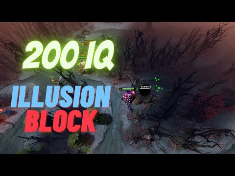 Shadow Demon 200 IQ Illusion Block vs 10 IQ Windranger - Dota 2 Short Clips