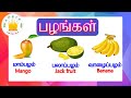 தமிழரசி பழங்கள் Learn Fruits Names In Tamil English For Kids And Childre
